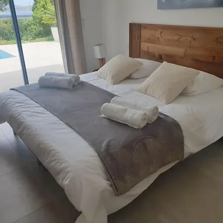 Privee-piscine-vue Mer-pinarello-cirindinu * 종자