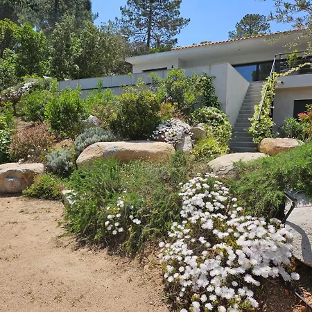 Privee-piscine-vue Mer-pinarello-cirindinu Villa *