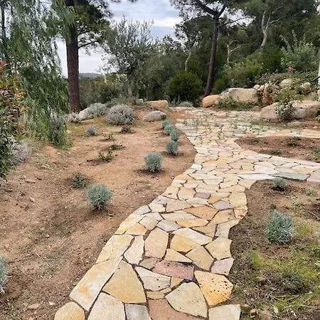 Privee-piscine-vue Mer-pinarello-cirindinu Villa *