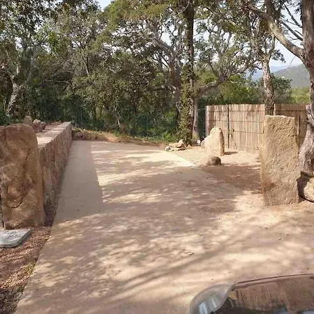 Privee-piscine-vue Mer-pinarello-cirindinu Villa Zonza