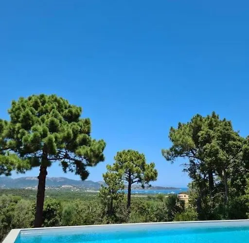 Privee-piscine-vue Mer-pinarello-cirindinu * Zonza